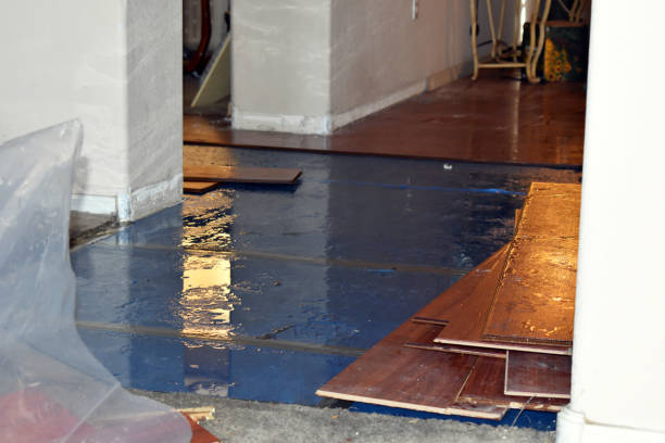 Professional Water Damage Restoration technician working in Russellville, TN